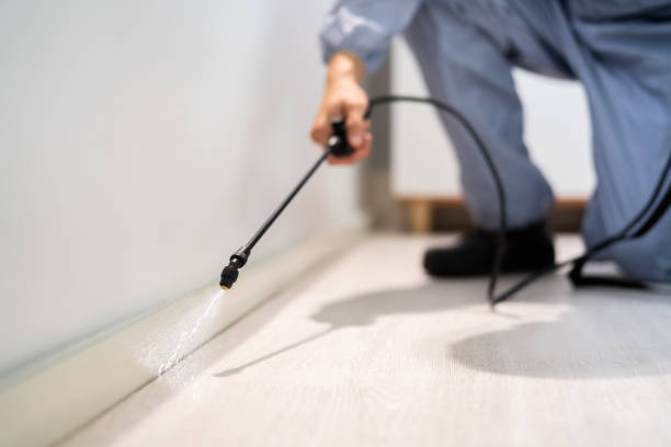 Certified termite inspector examining foundation in Silver Summit