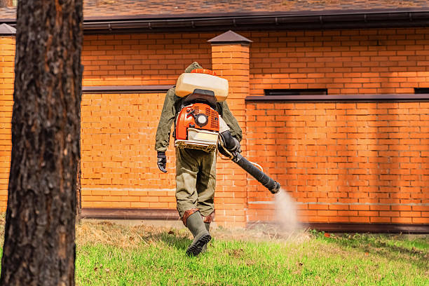 Bed Bug Clearance Verification and Documentation in Silver Summit